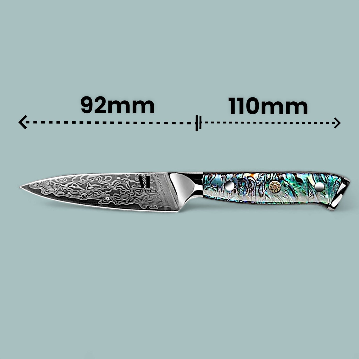 Zenith Line 5-piece set of professional kitchen knives