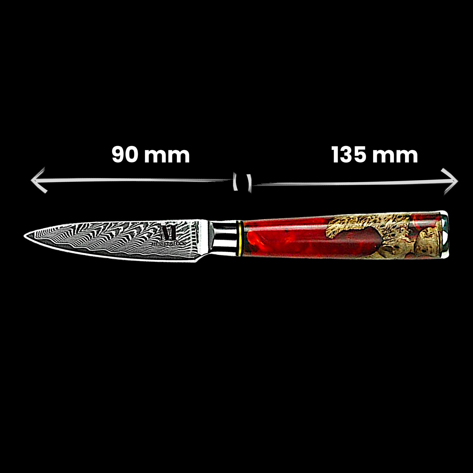 Samura Line 2-piece set of professional kitchen knives