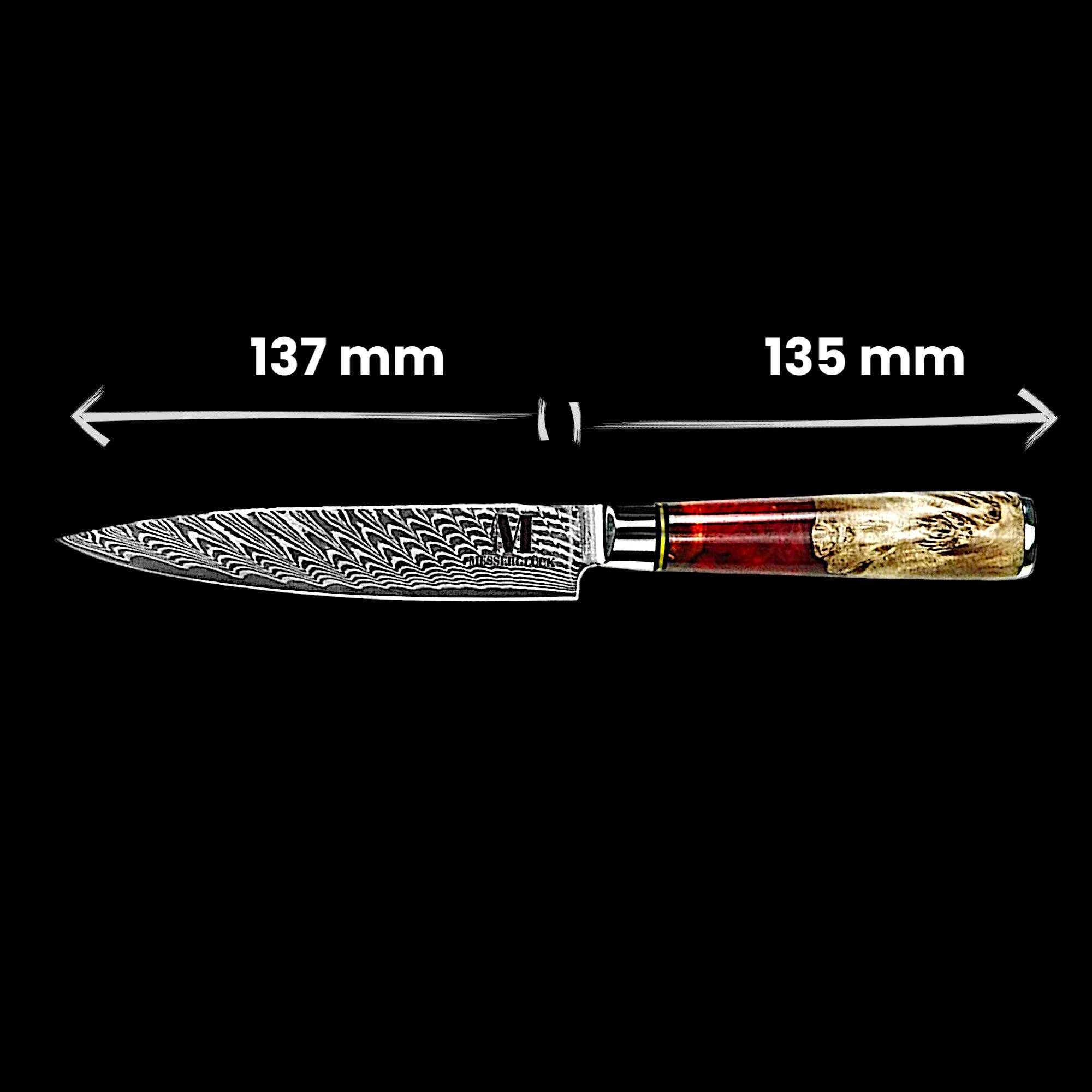 Samura Line 2-piece set of professional kitchen knives