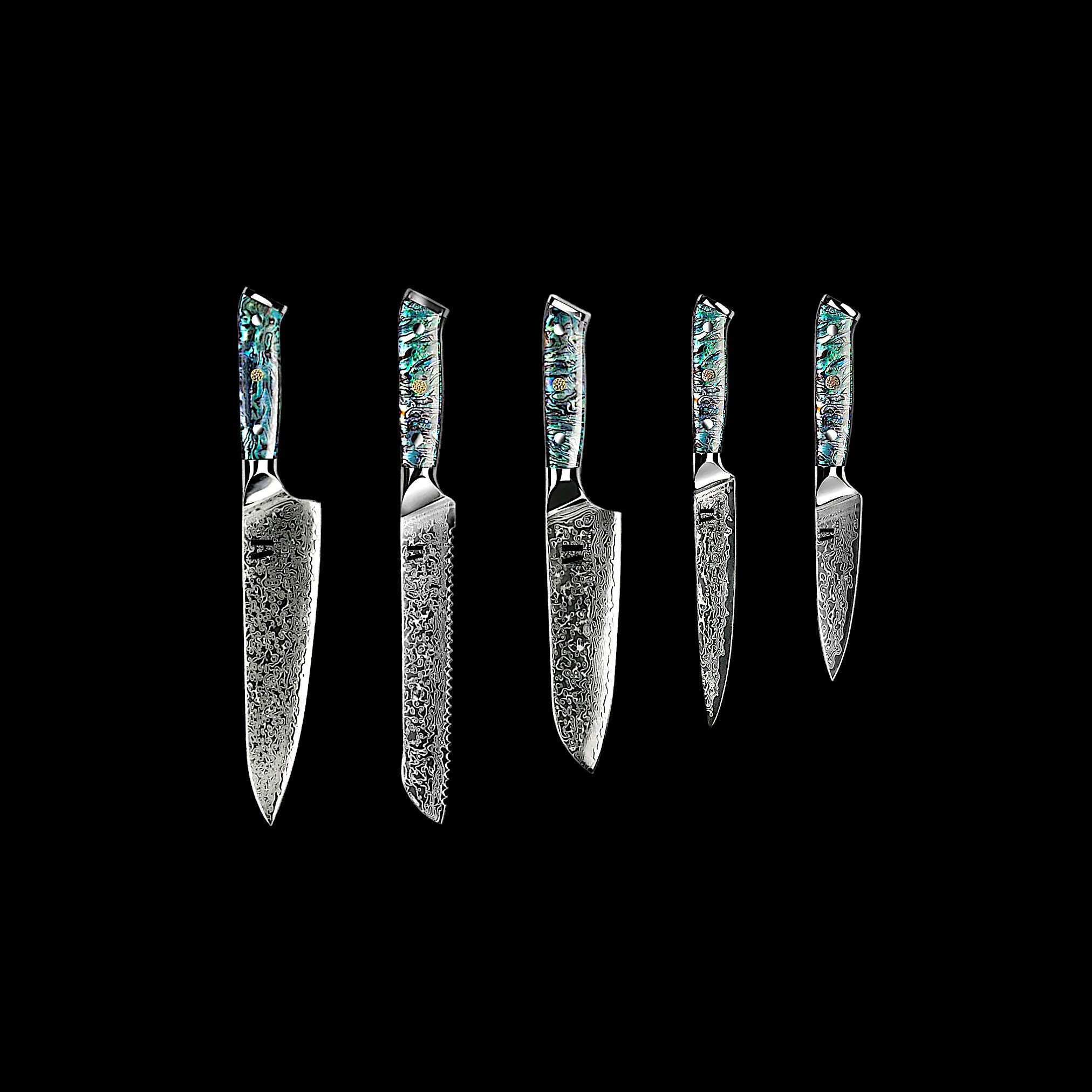 Zenith Line 5-piece set of professional kitchen knives