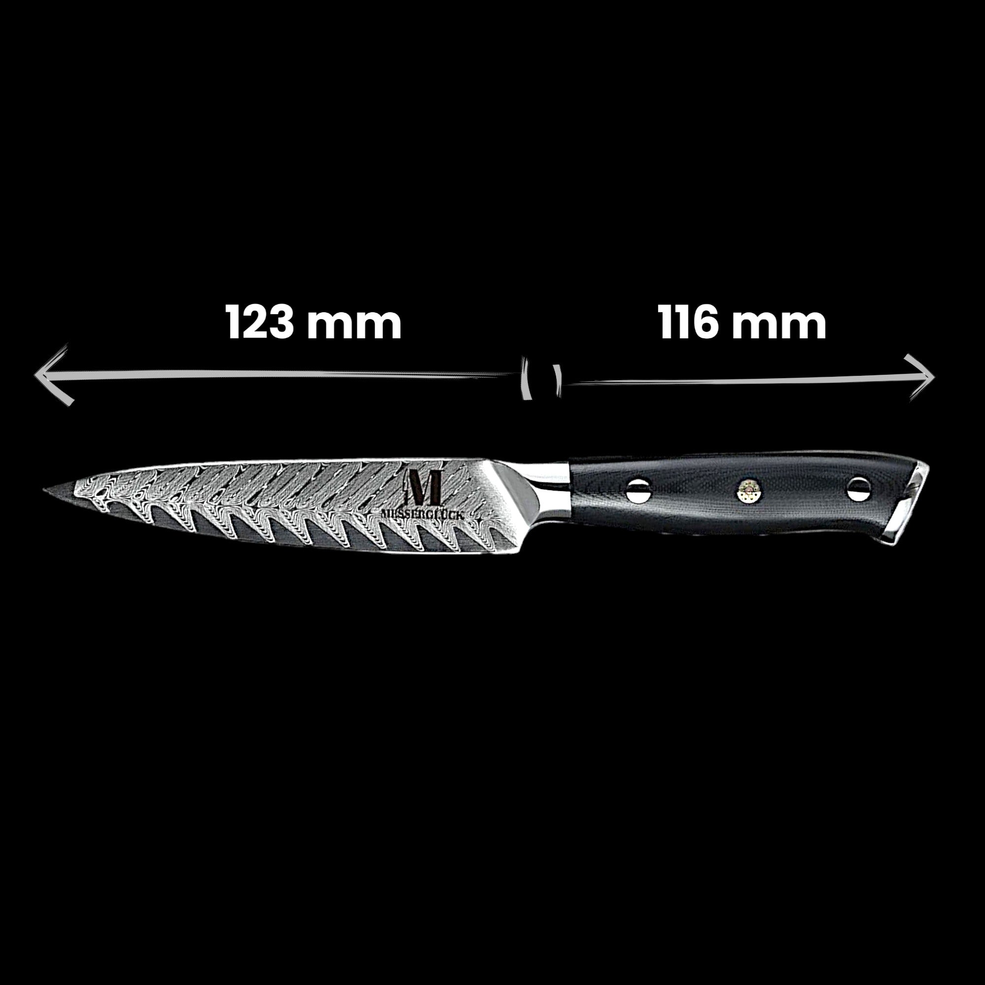 Samura Line Set 2 pezzi di coltelli da cucina professionali