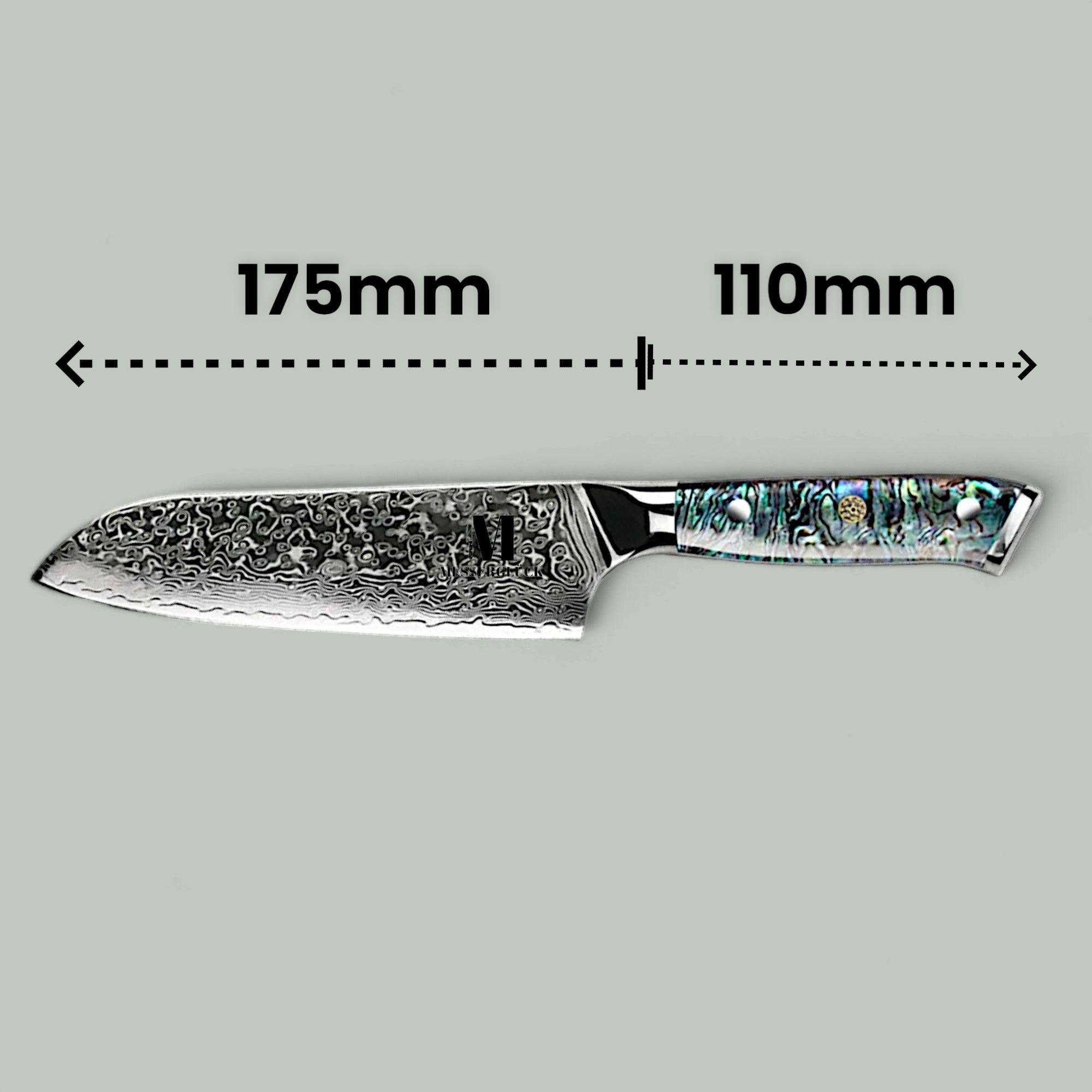 Zenith Line 5-piece set of professional kitchen knives